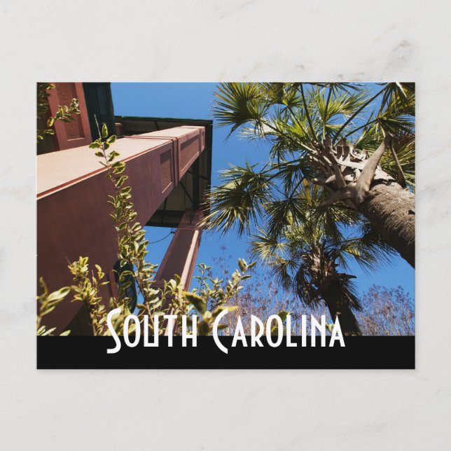 south carolina postcard (Front)