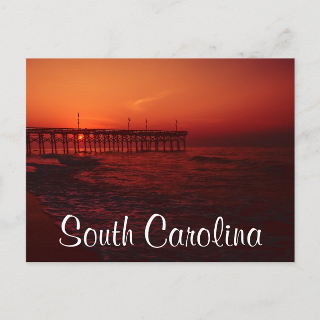 south carolina postcard (Front)