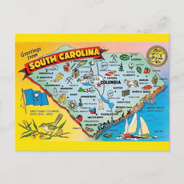 South Carolina  Postcard (Front)