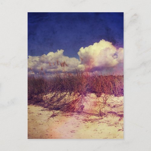 South Carolina Sand Dunes Postcard