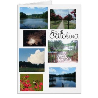 South Carolina Scenes Cards