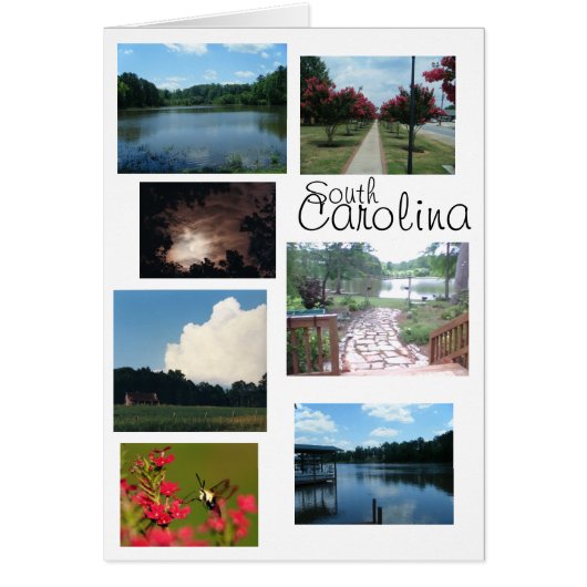 South Carolina Scenes Cards (Front)