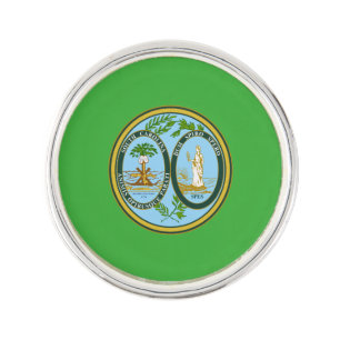 South Carolina seal, American state seal Pin