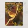 South Carolina State Bird: Carolina Wren Postcard