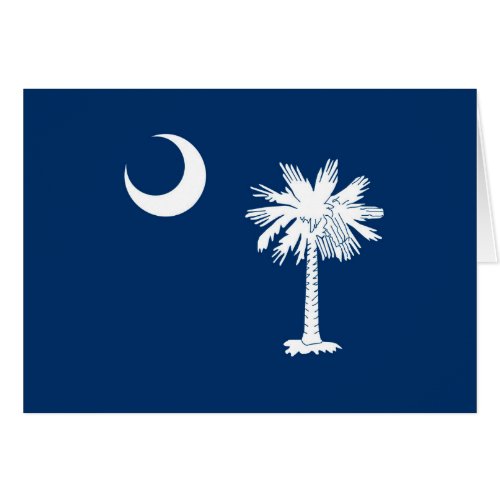 South Carolina State Flag Design Accent