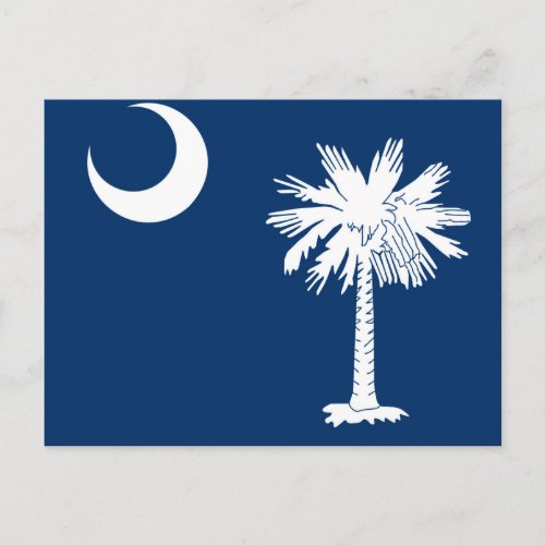 South Carolina State Flag Design Accent Postcard