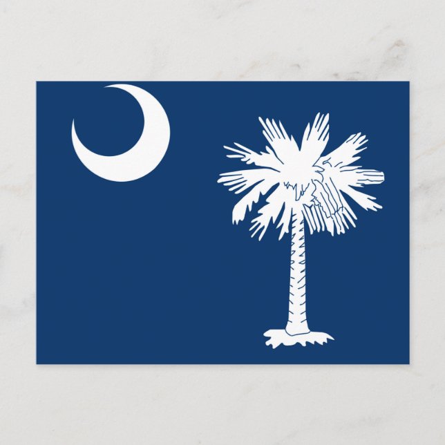 South Carolina State Flag Design Accent Postcard (Front)