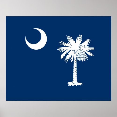 South Carolina State Flag Design Accent Poster