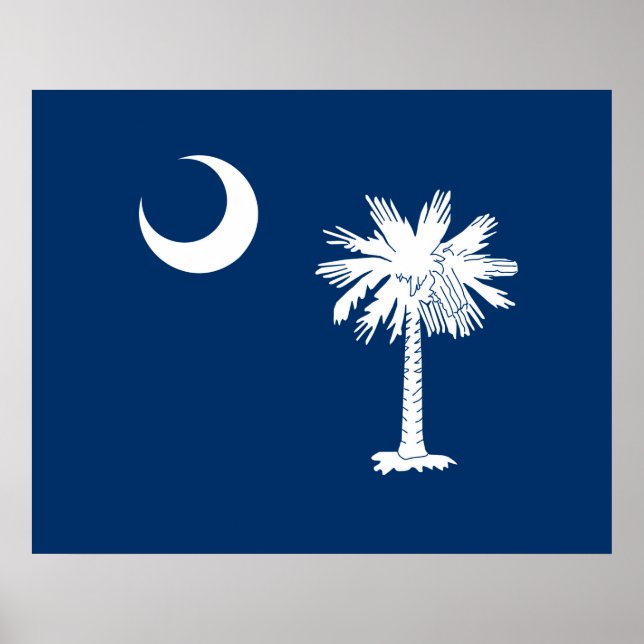 South Carolina State Flag Design Accent Poster (Front)
