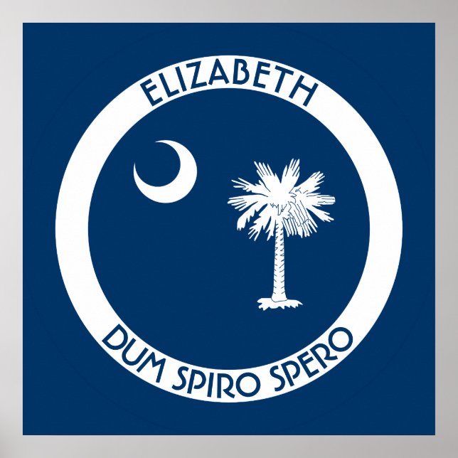 South Carolina The Palmetto State Personal Flag Poster (Front)