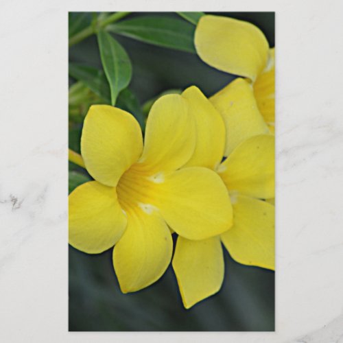 South Carolina Yellow Jessamine Stationery