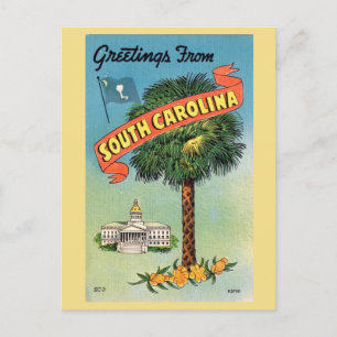South Carolina's Cabbage Palm Postcard