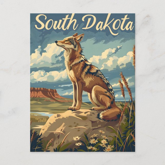 South Dakota Coyote Postcard (Front)