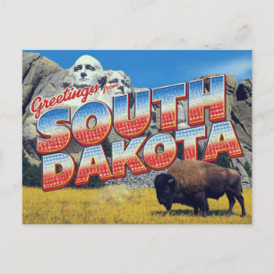 South Dakota Mount Rushmore Bison Postcard
