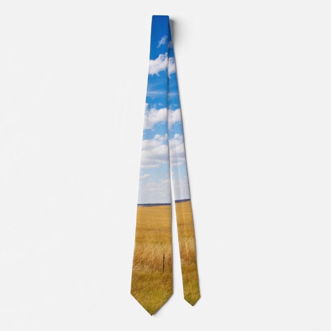 South Dakota rural landscape Neck Tie (Front)