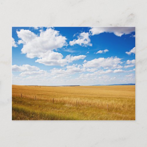 South Dakota rural landscape photograph Postcard