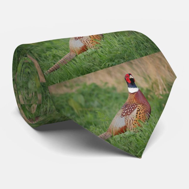 South Dakota State Bird Ring Necked Pheasant Mens Neck Tie (Rolled)