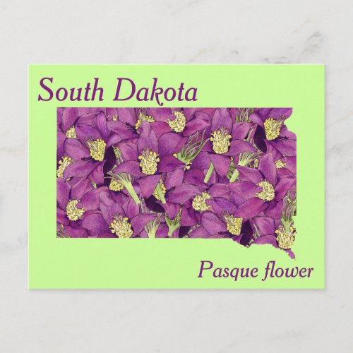 South Dakota State Flower Collage Map Postcard