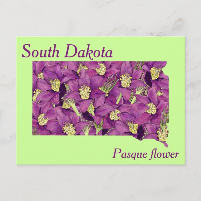 South Dakota State Flower Collage Map Postcard (Front)