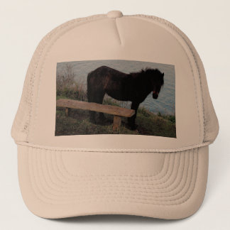 South Devon Dartmoor Pony Near Bench.3. Trucker Hat