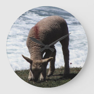 South Devon Lambe Grazing On Wild Coastline Large Clock