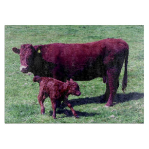 South Devon Ruby Cow And Calf Cutting Board