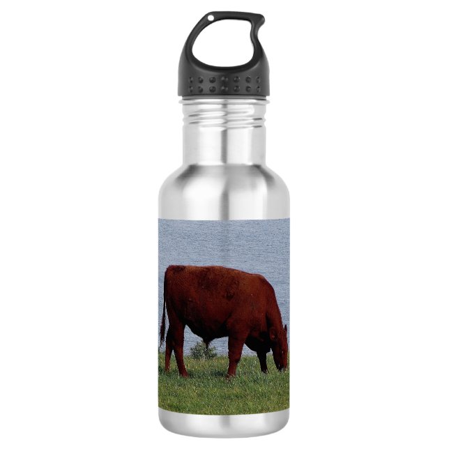 South Devon Ruby Red Cow Grazeing On Coastline Water Bottle (Front)