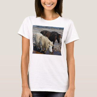 South Devon Two Shetland Ponies On Beach T-Shirt