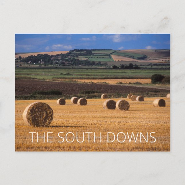South Downs Postcard (Front)