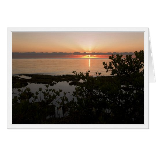 South Florida wilderness at dawn Card