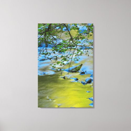 South Fork Wilson River Oregon Canvas Print