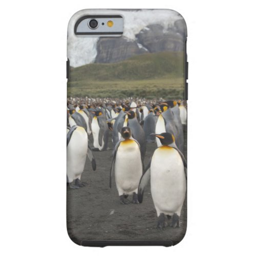 South Georgia Island Gold Harbor King penguin 2 Tough iPhone 6 Case