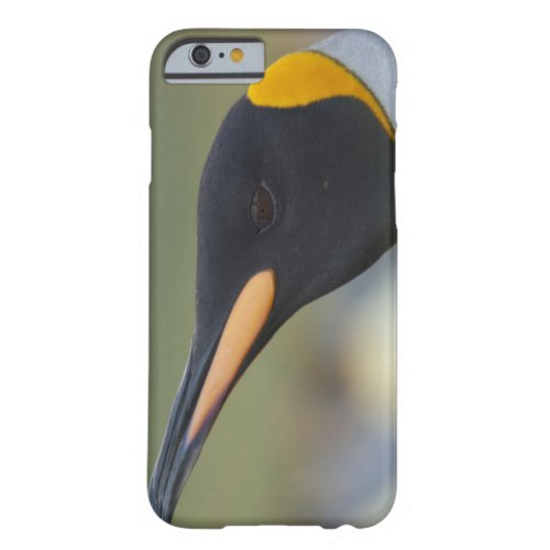 South Georgia Island Gold Harbor King penguin 4 Barely There iPhone 6 Case