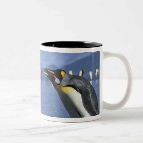 South Georgia Island St Andrews Bay King Two_Tone Coffee Mug