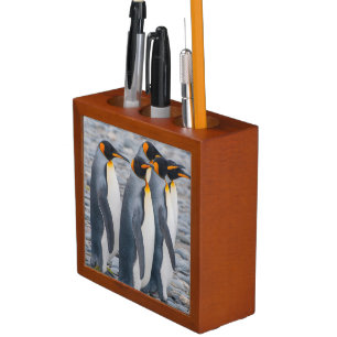 South Georgia. King penguins Desk Organizer