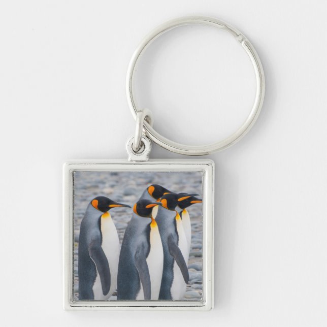 South Georgia. King penguins Keychain (Front)