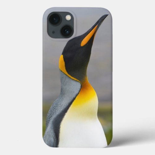 South Georgia Saint Andrews King penguin 2 iPhone 13 Case