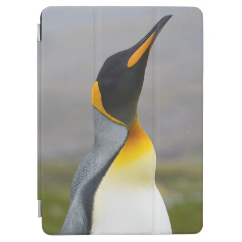 South Georgia Saint Andrews King penguin 2 iPad Air Cover