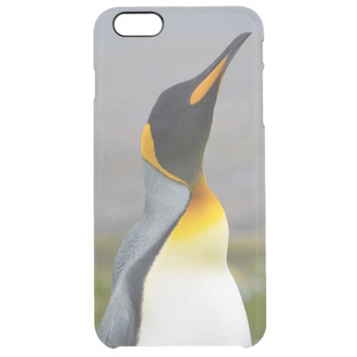 South Georgia Saint Andrews King penguin 2 Clear iPhone 6 Plus Case