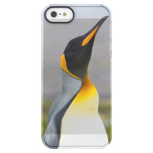 South Georgia Saint Andrews King penguin 2 Permafrost iPhone SE55s Case