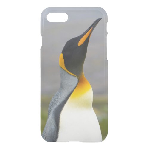South Georgia Saint Andrews King penguin 2 iPhone SE87 Case