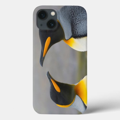 South Georgia Saint Andrews King penguin 3 iPhone 13 Case