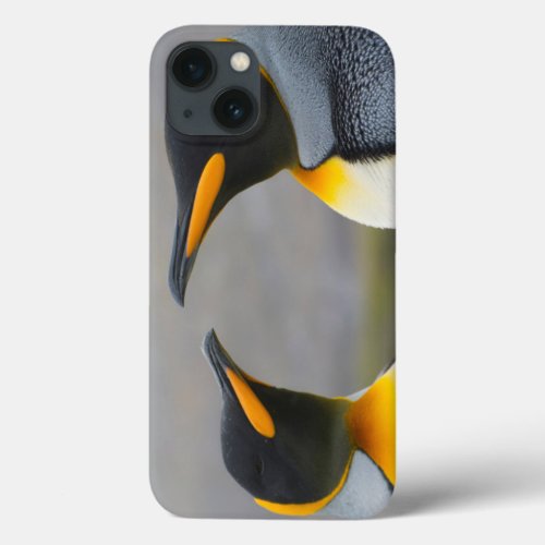 South Georgia Saint Andrews King penguin 3 iPhone 13 Case