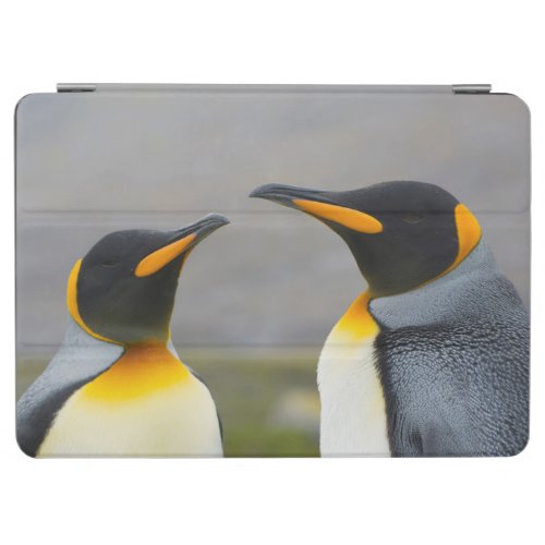 South Georgia Saint Andrews King penguin 3 iPad Air Cover