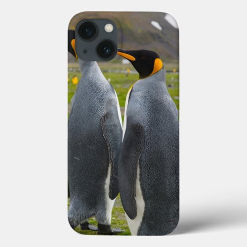 South Georgia Saint Andrews King penguin 4 iPhone 13 Case
