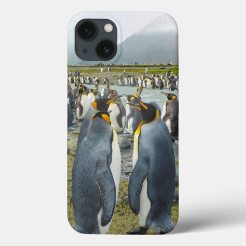 South Georgia Saint Andrews King penguin 6 iPhone 13 Case