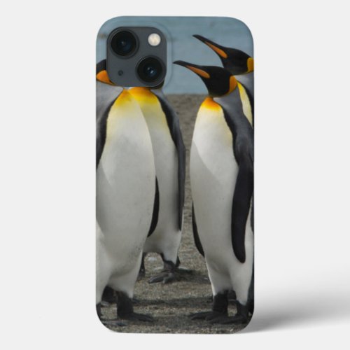 South Georgia Saint Andrews King penguins 8 iPhone 13 Case