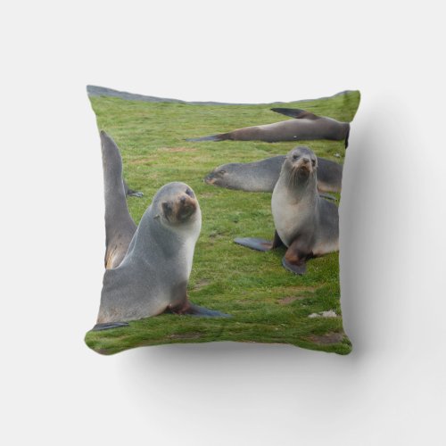 South Georgia Salisbury Plain Antarctic fur 1 Throw Pillow
