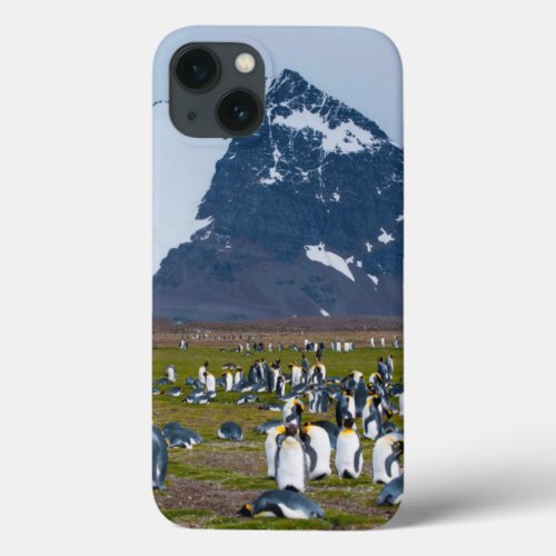 South Georgia Salisbury Plain King penguins 1 iPhone 13 Case