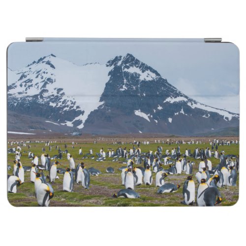 South Georgia Salisbury Plain King penguins 1 iPad Air Cover